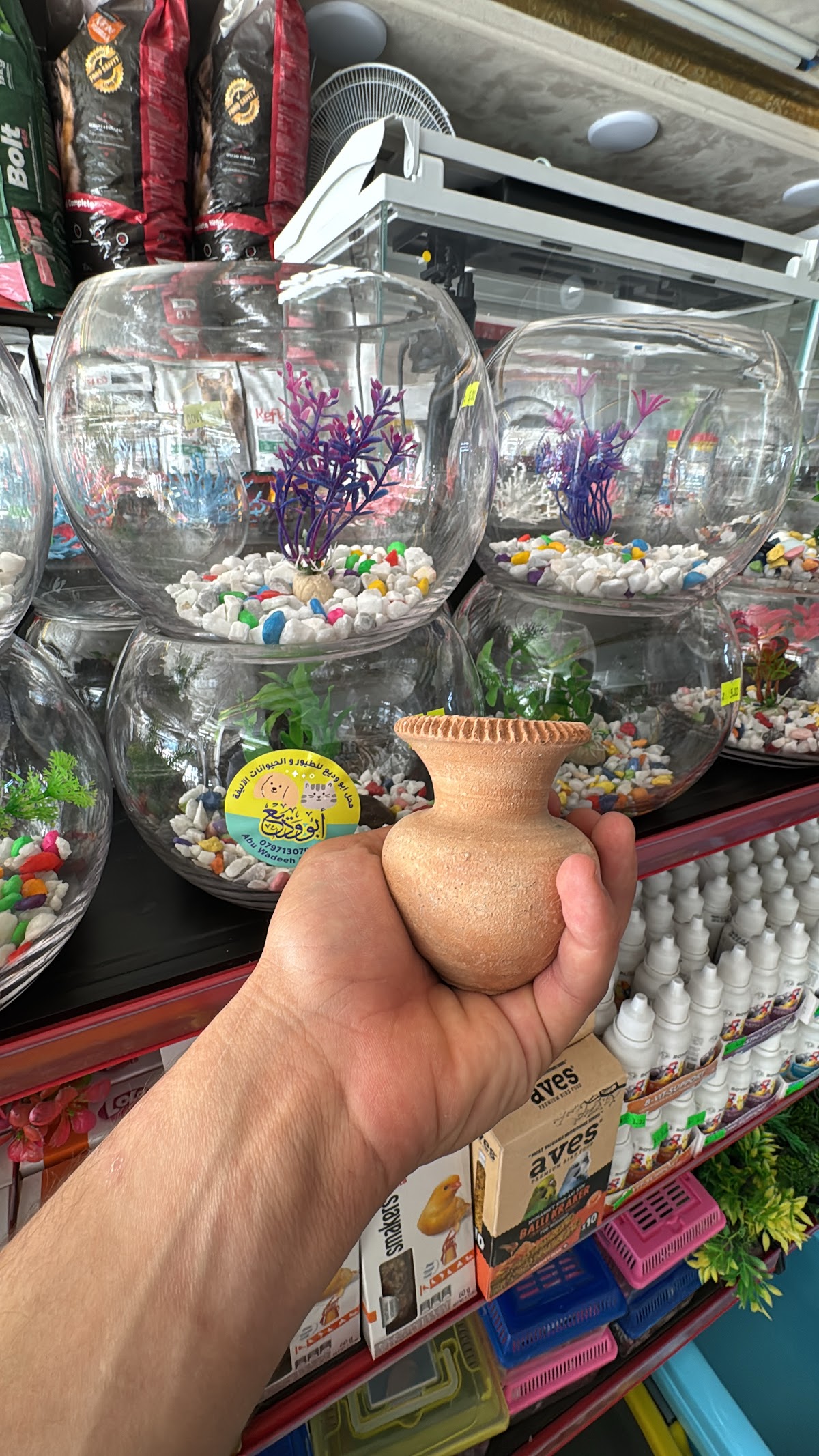 Abu Wadea Pet Store detail