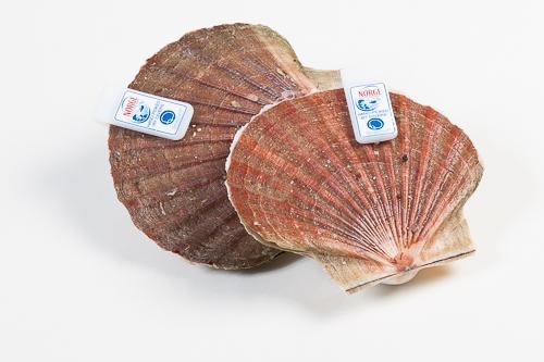 Alharbi Seafood