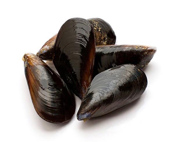 Alharbi Seafood detail
