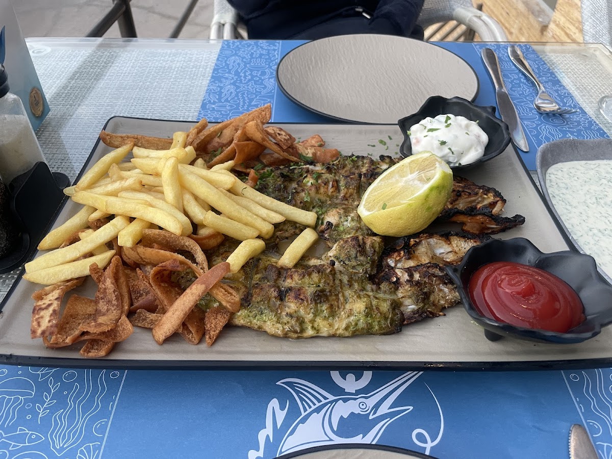 Aqaba Central Fish Market | Bayt Alsayaad detail