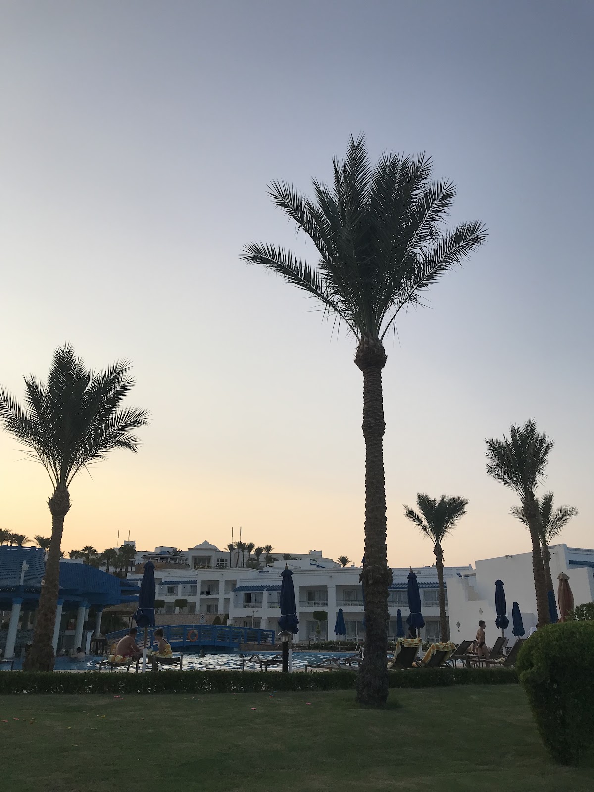 Beach Bar detail
