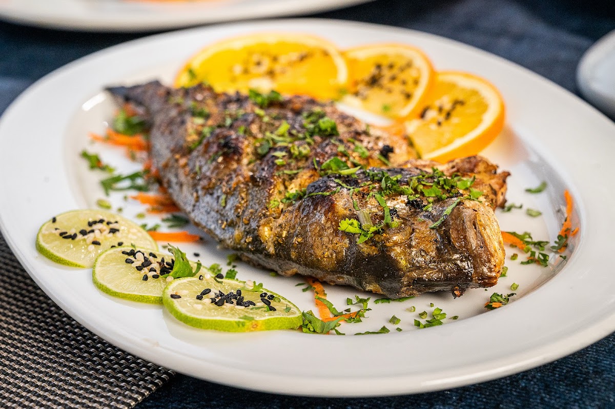 City Fish Seafood Restaurant مطعم اسماك سيتي فيش detail