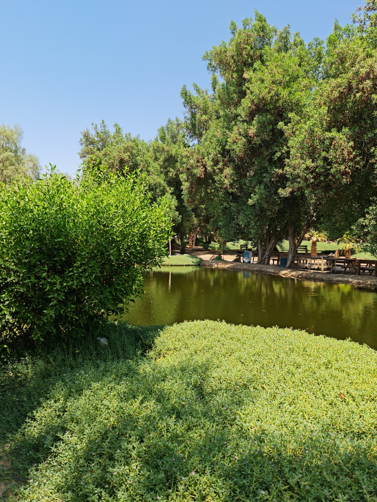 EL Gouna Fish Farm detail
