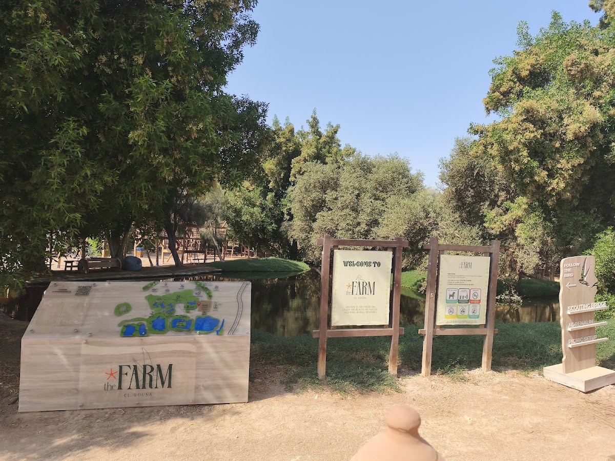 EL Gouna Fish Farm detail