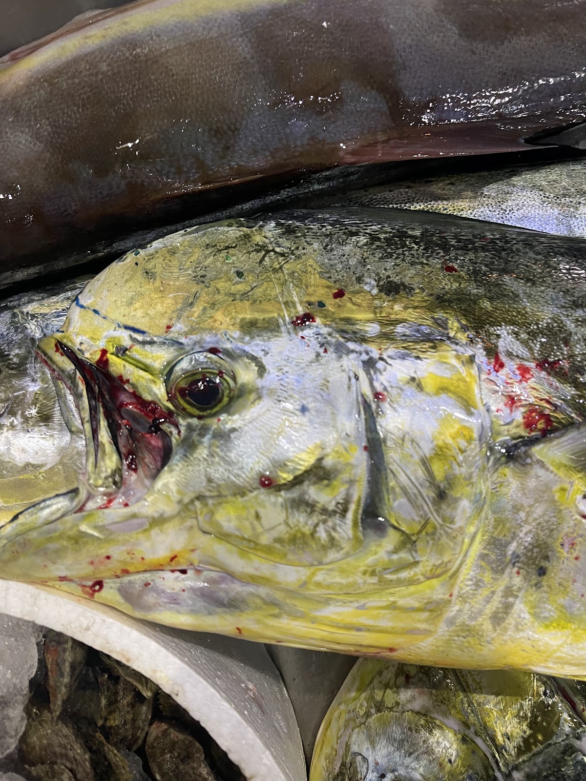 Fish Market detail