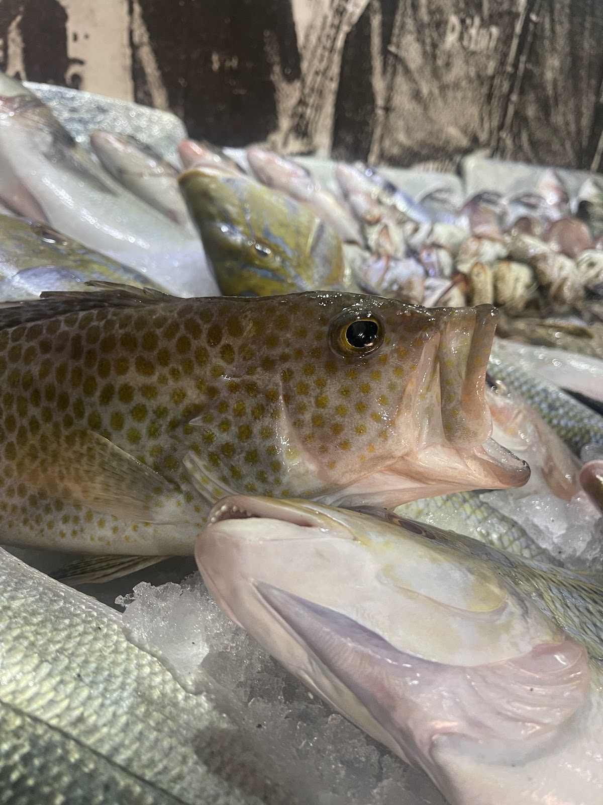 Fish Market detail