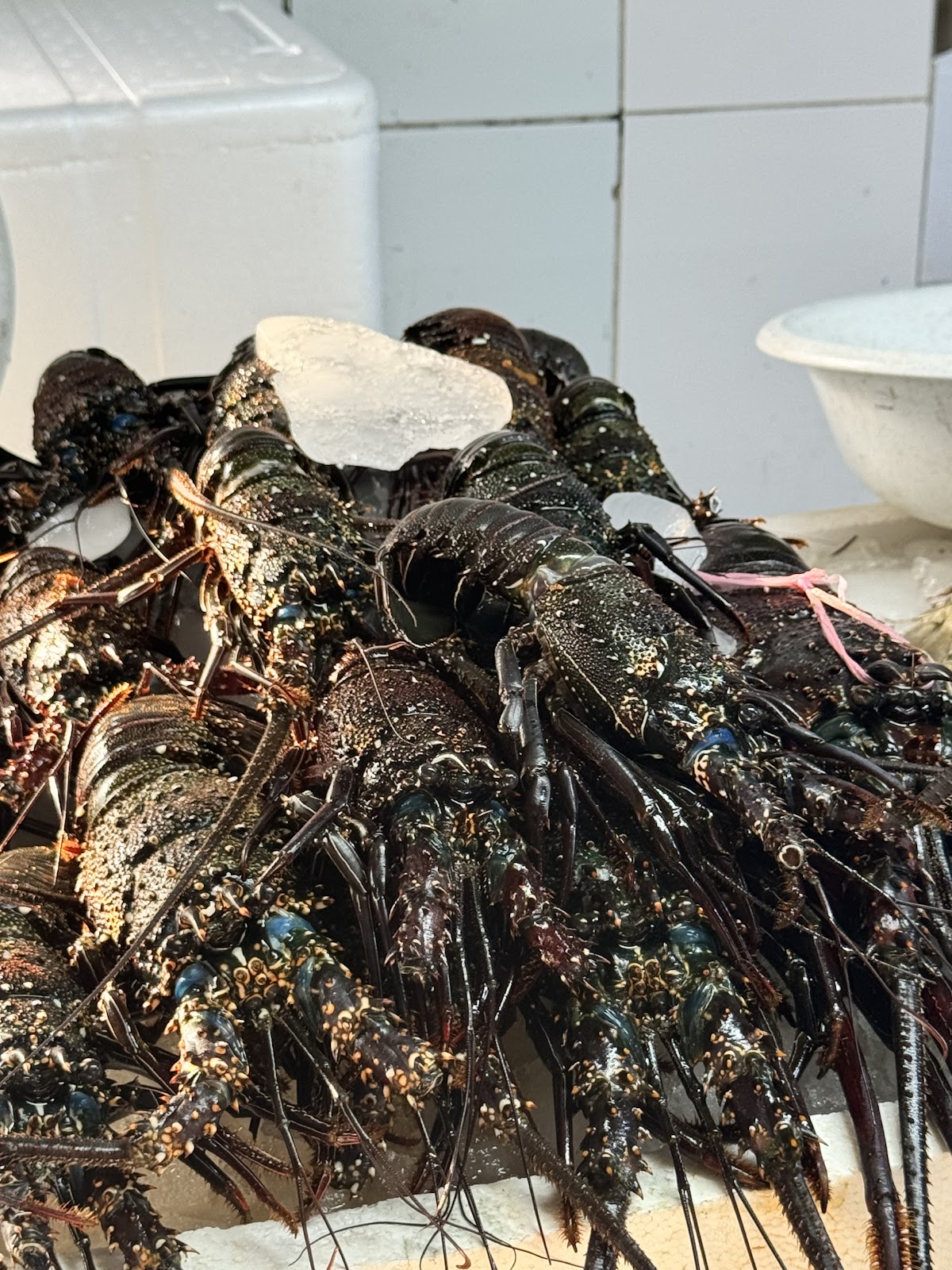 Fish market harbour detail