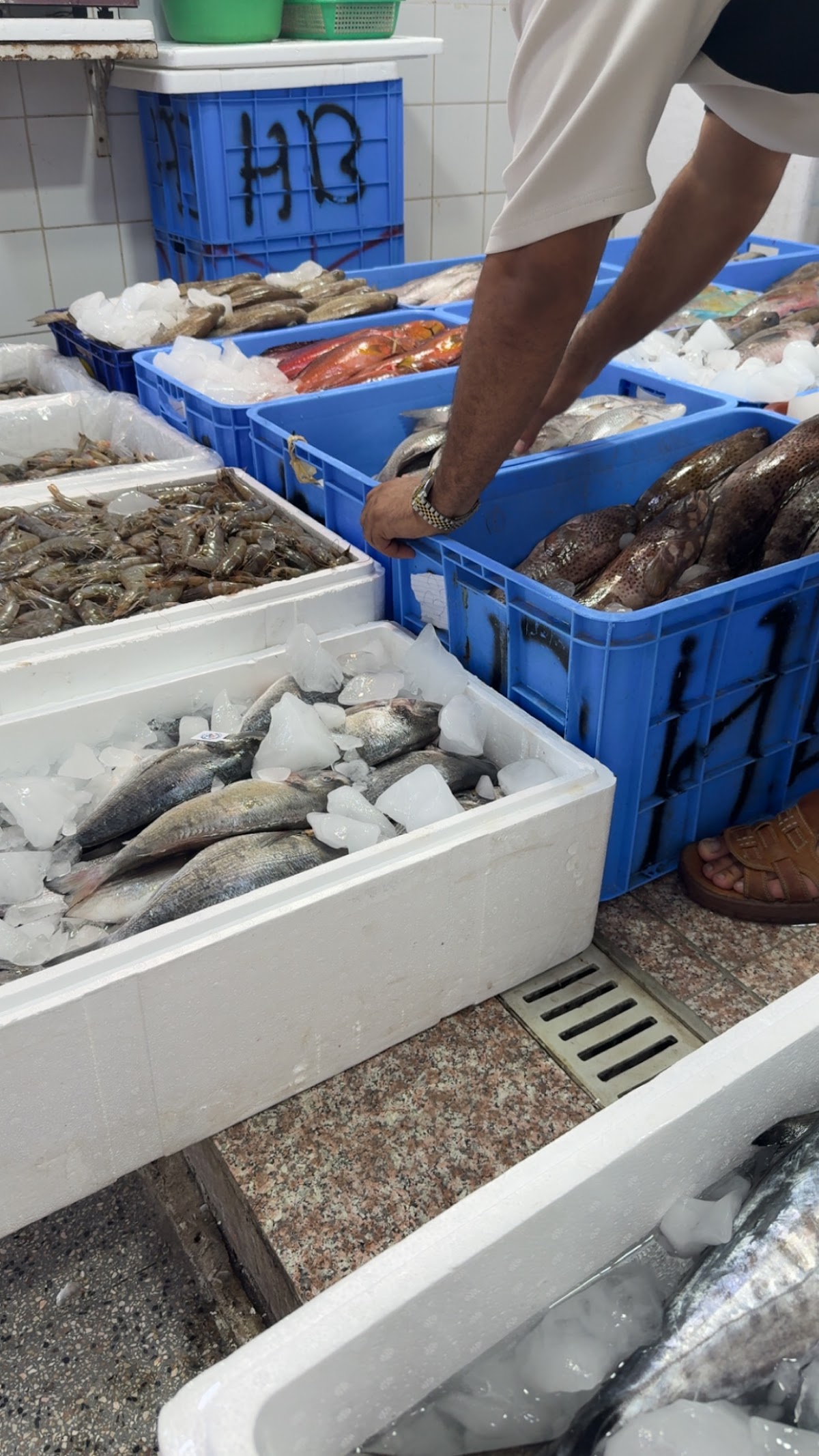 Fish Market detail