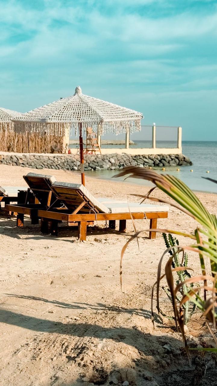 GALU Beach Club | نادي شاطئ قالو detail