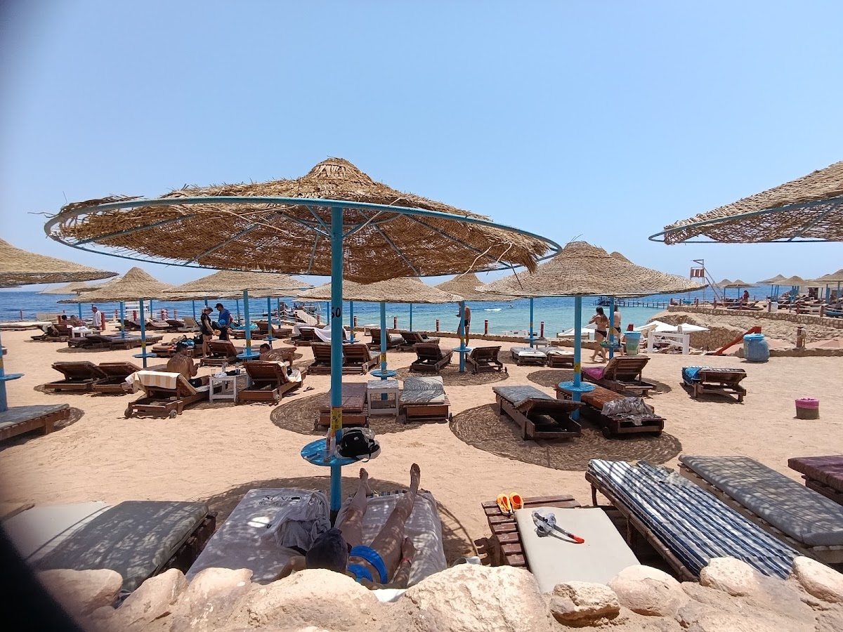 Palma Beach & Poseidon Restaurant Lounge detail
