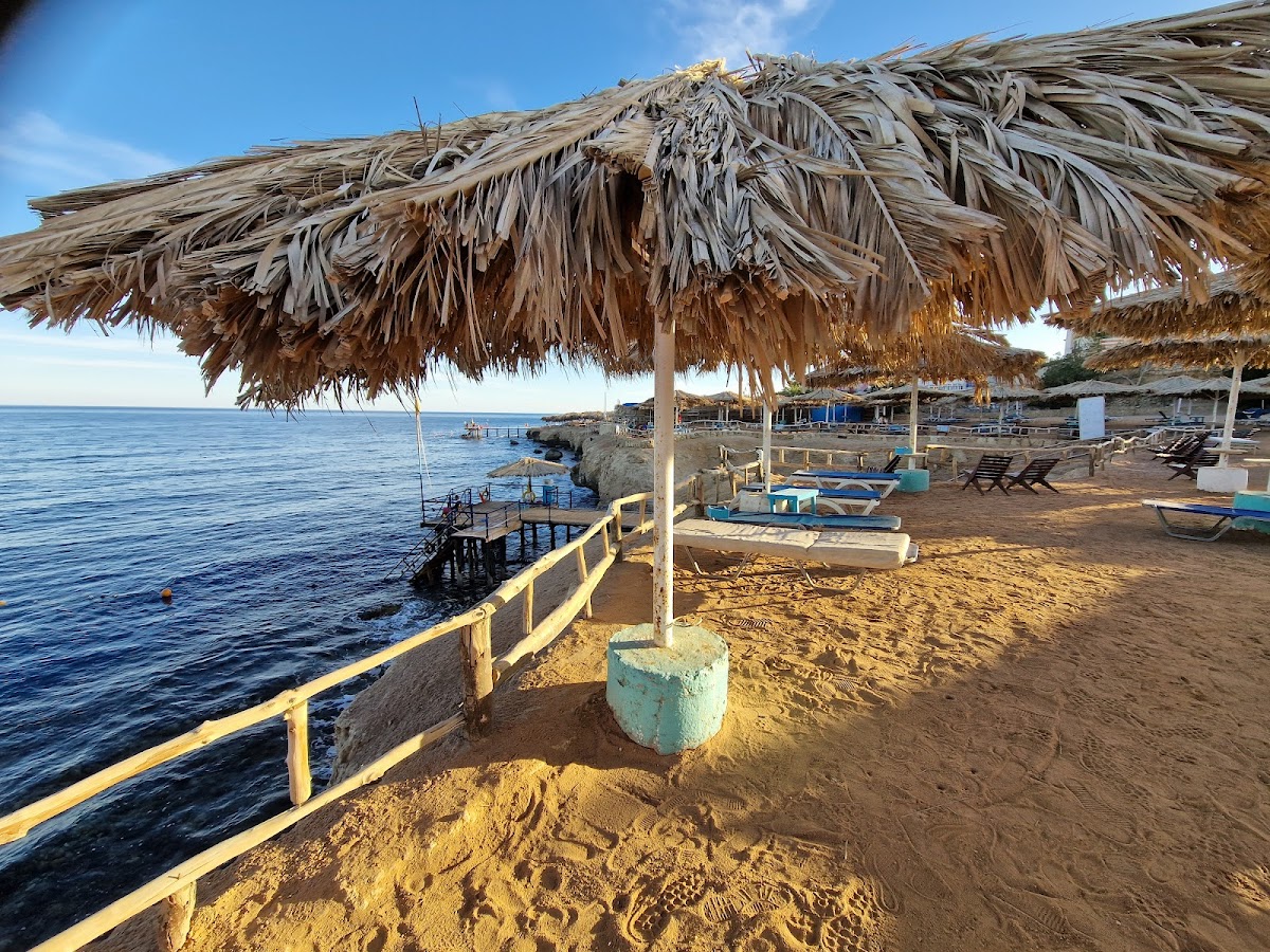 Reef Beach detail