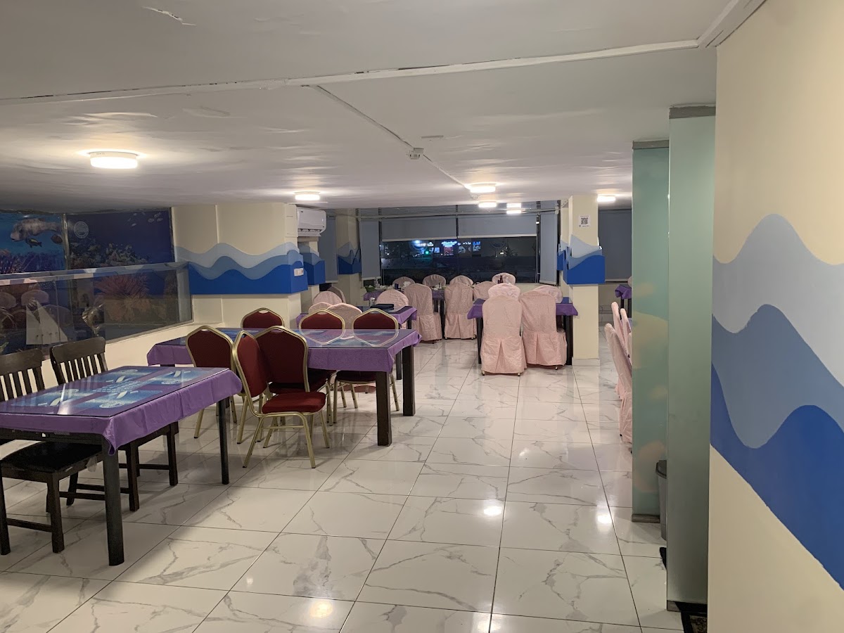 SeaGulls' Catch Restaurant - صيد النورس للمأكولات البحرية detail