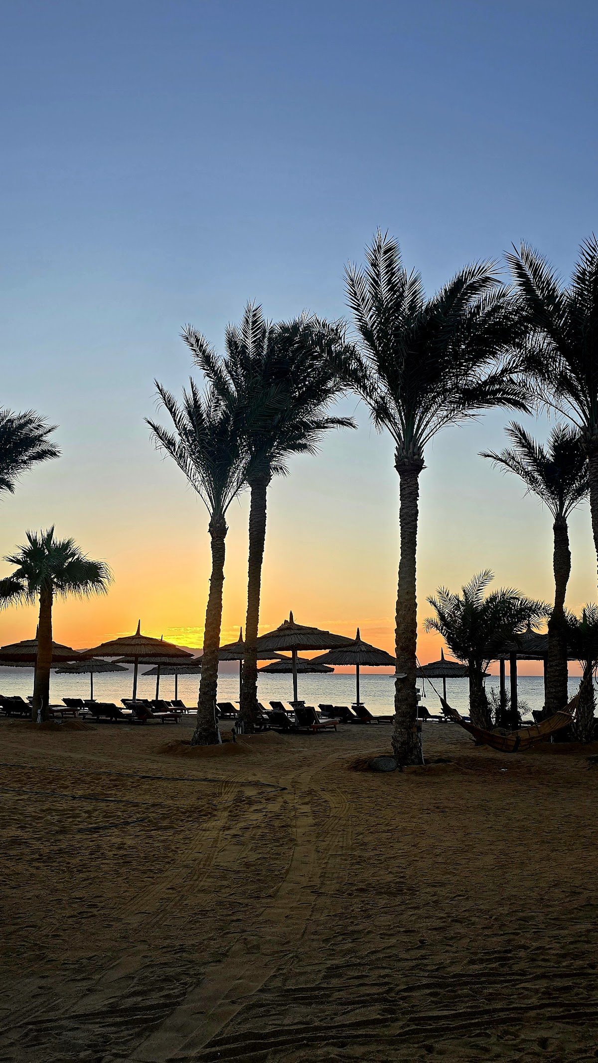 Serene Beach Club & Restaurant - Gallery