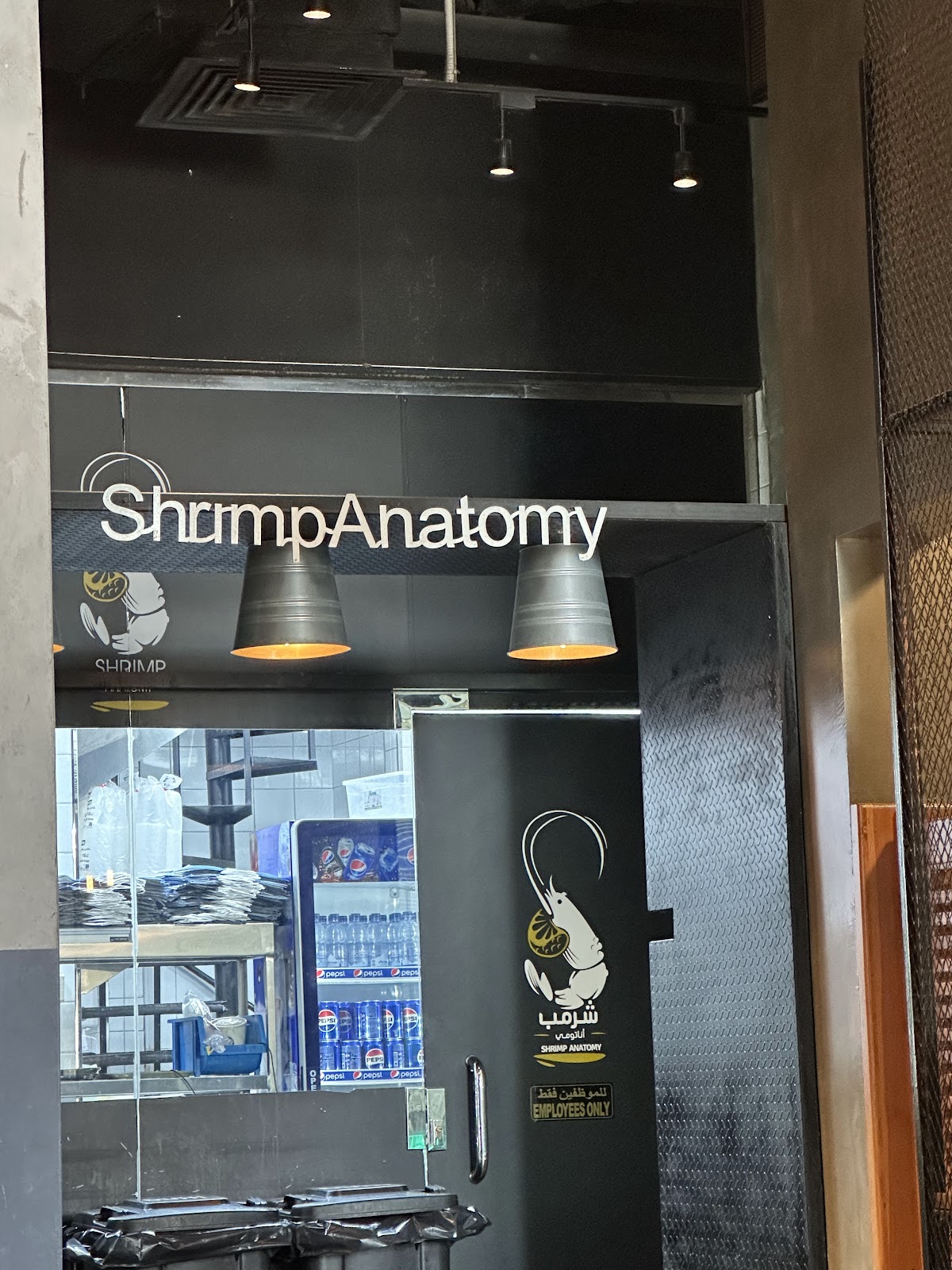 Shrimp Anatomy detail