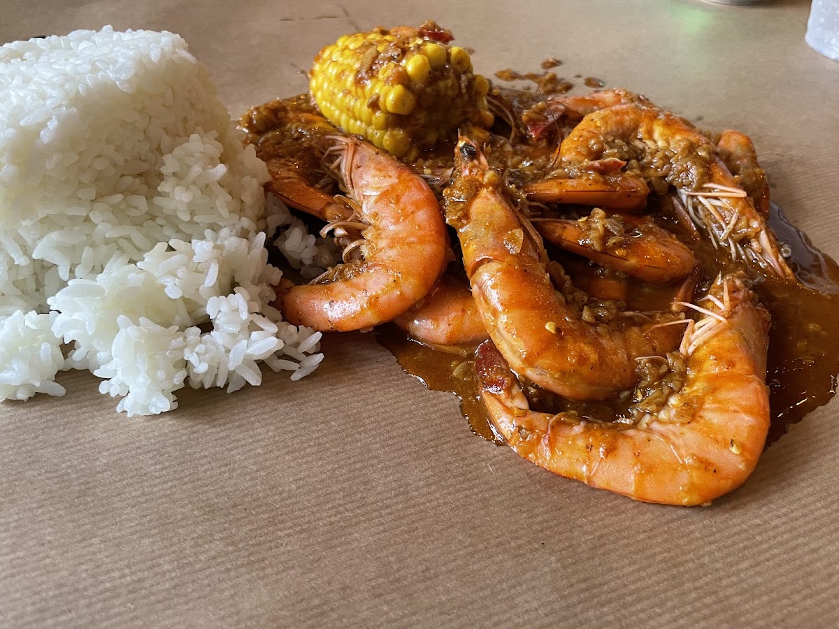 Shrimp Anatomy detail