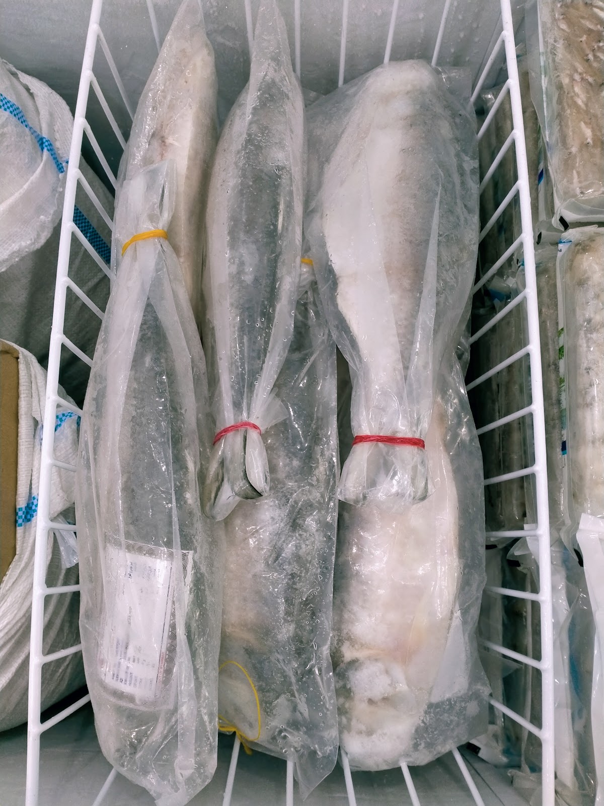 Talal Fresh Fish detail